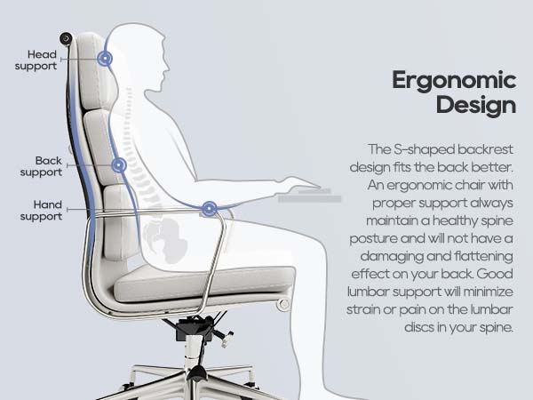 Ergonomic S-Curve Support System